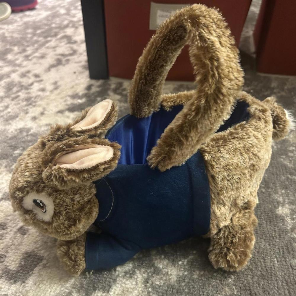 Dan Dee Plush Peter Rabbit Easter Basket